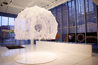 The completed silk pavilion.