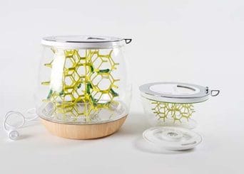 Bee-hive inspired terrarium by Mansour Ourasanah.