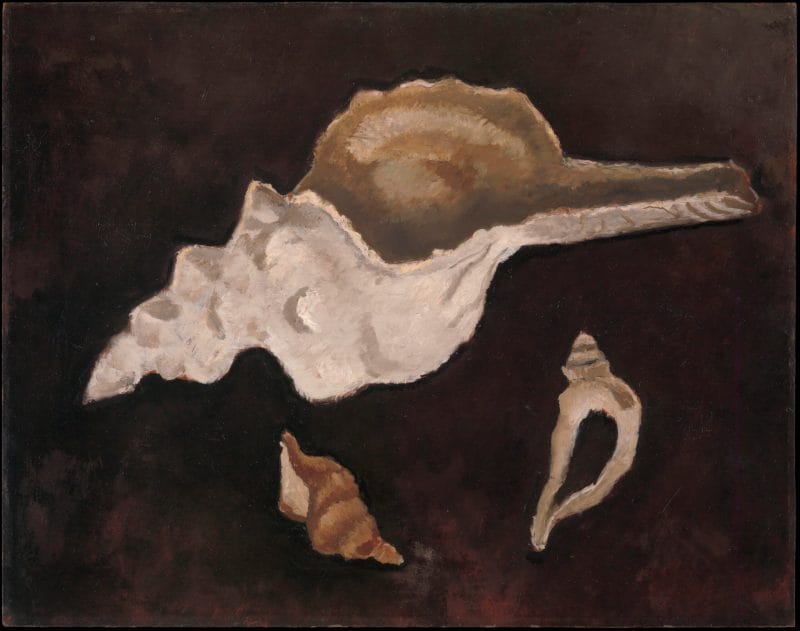 Two small, off-white conch shells below a larger shell on an empty black background.