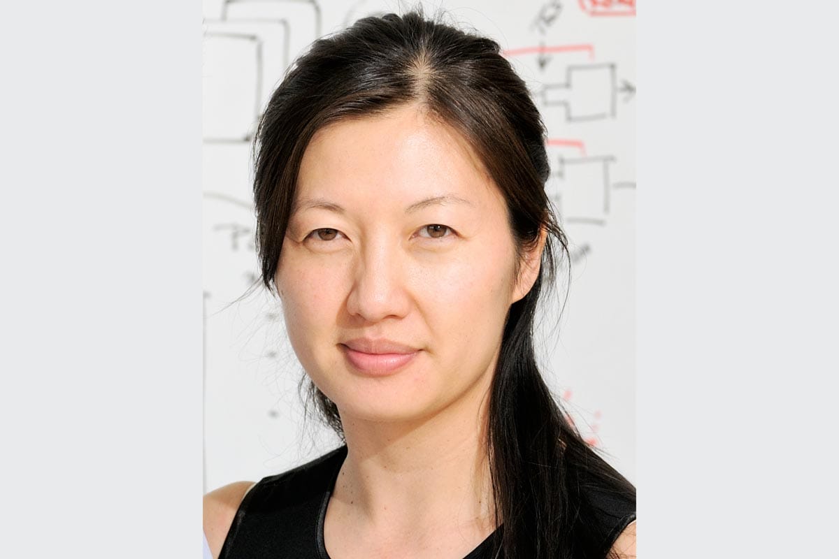 A photo of Alice Ting in front of a whiteboard with scientific equations.