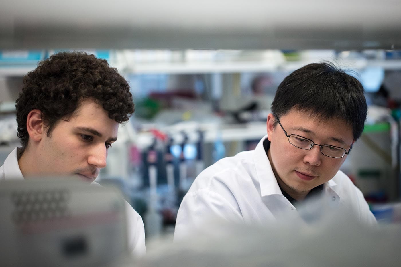 Feng Zhang with a student in his lab at Massachusetts Institute of Technology