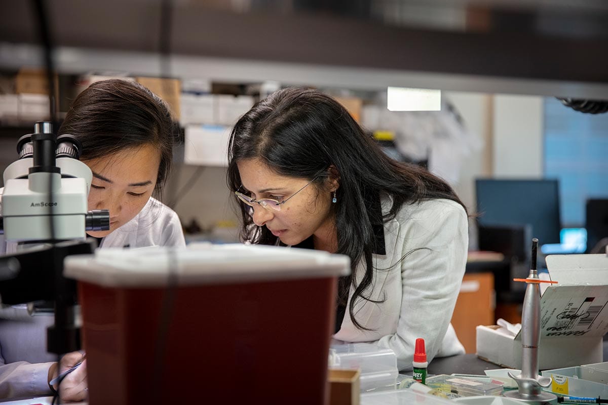 A photo of Jeanne T. Paz with a student in her lab