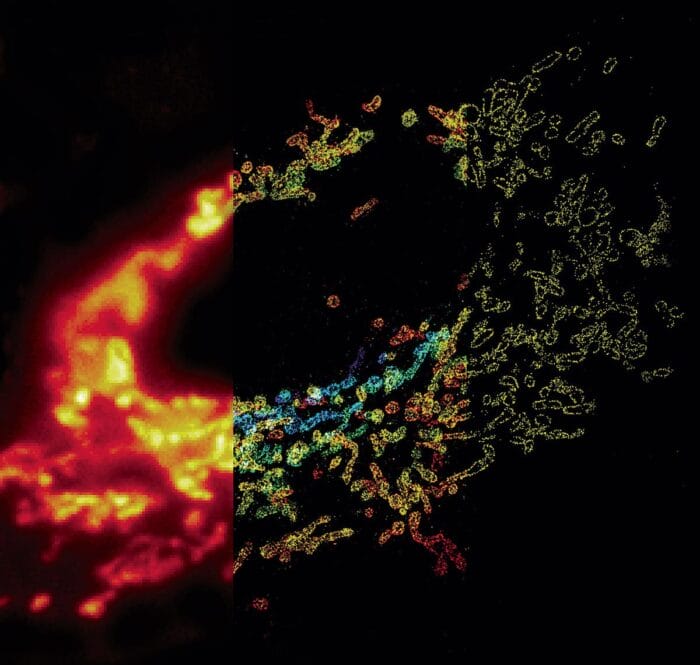 Comparison of conventional (left) and 3D STORM (right) image of mitochondria in a cell.