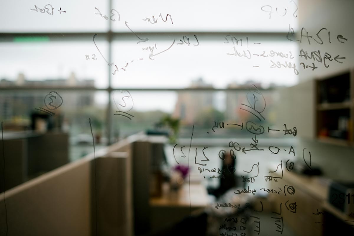 Scientific equations appear on all walls of Kivanc Birsoy's office at Rockefeller University