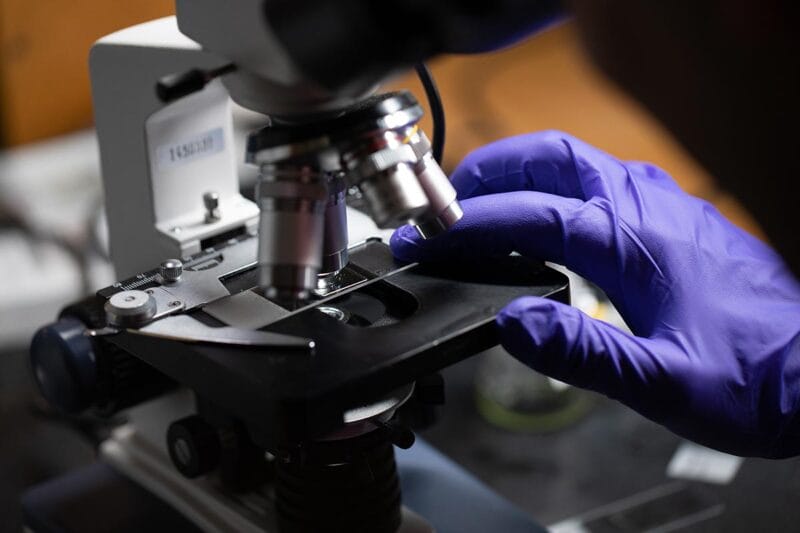 A scientist's hand, in a purple glove, adjusts a plate on a microscope.