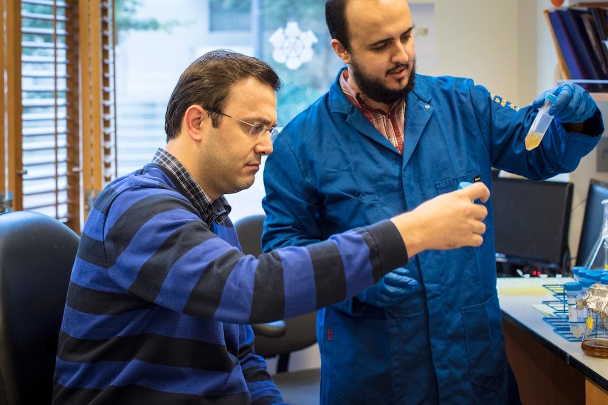 A profile view of Ahmet Yildiz sitting examining lab samples with a colleague.