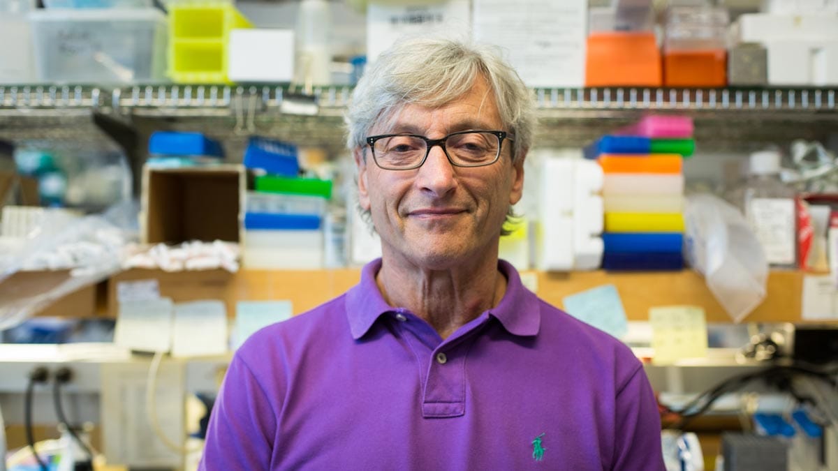 Dan R. Littman is pictured from the chest-up wearing a purple polo and glasses, with shelved lab apparatus behind him.