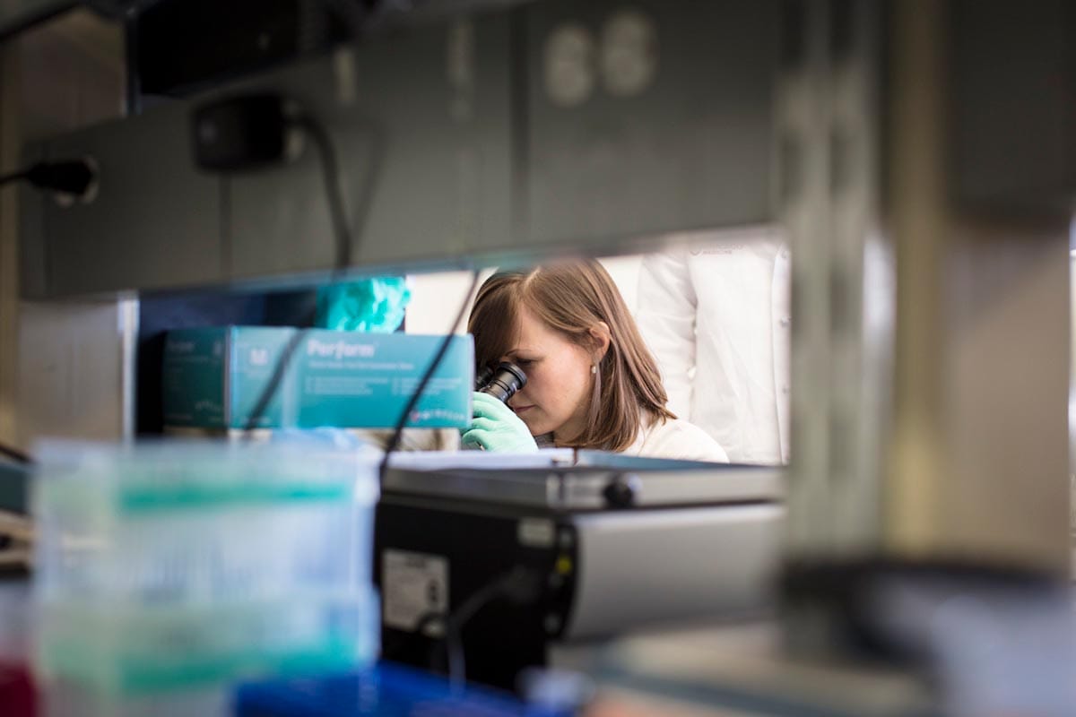 Michaela Gack is seen looking into a microscope through a gap made by the shelves in the lab.