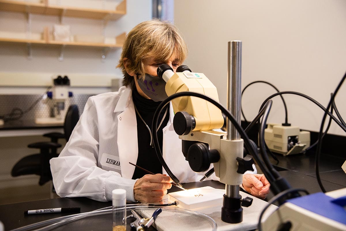 Ruth Lehmann in a white lab coat, sitting in front of a microscope analyzing a sample.