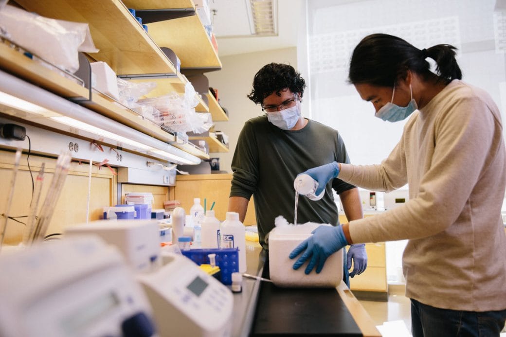 Hani Goodarzi and a colleague in his lab conducting an experiment.