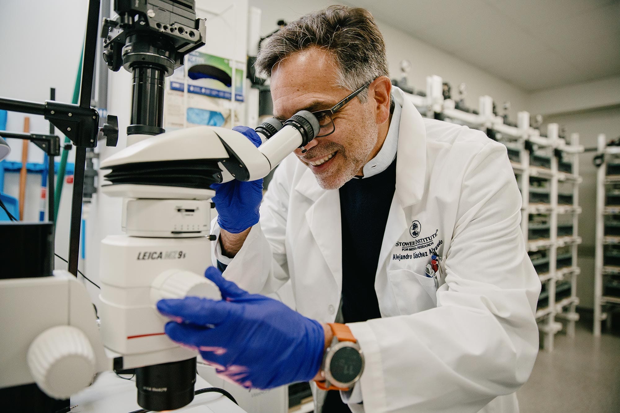 Alejandro Sanchez Alvarado looking into a microscope.