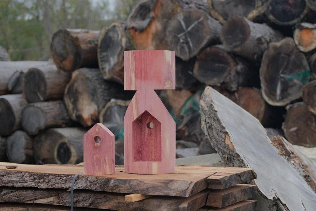 Parts of the birdhouse as they were being carved from red cedar.