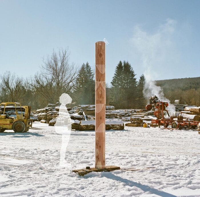 A digital rendering of the scale of the birdhouse in the log yard in the winter.