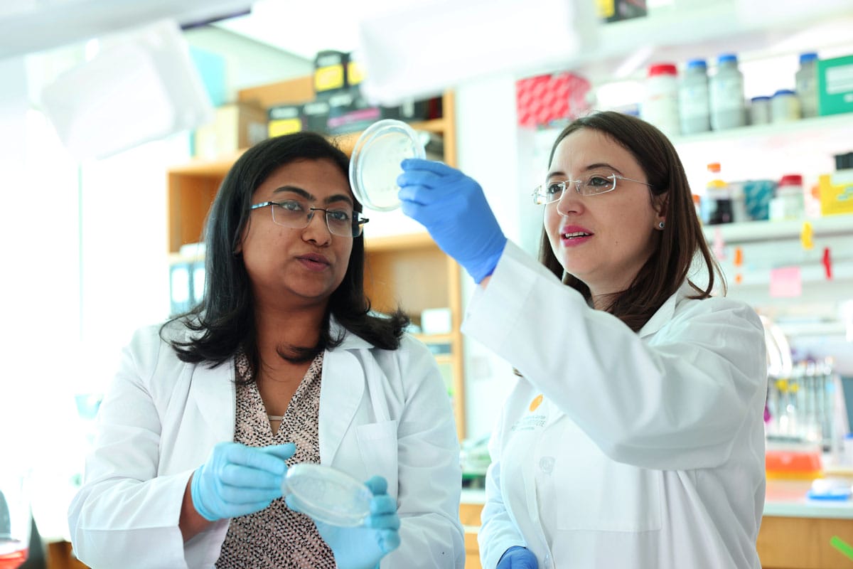 Gerta Hoxhaj and her colleague examine a petri-dish together in the Hoxhaj Lab.  