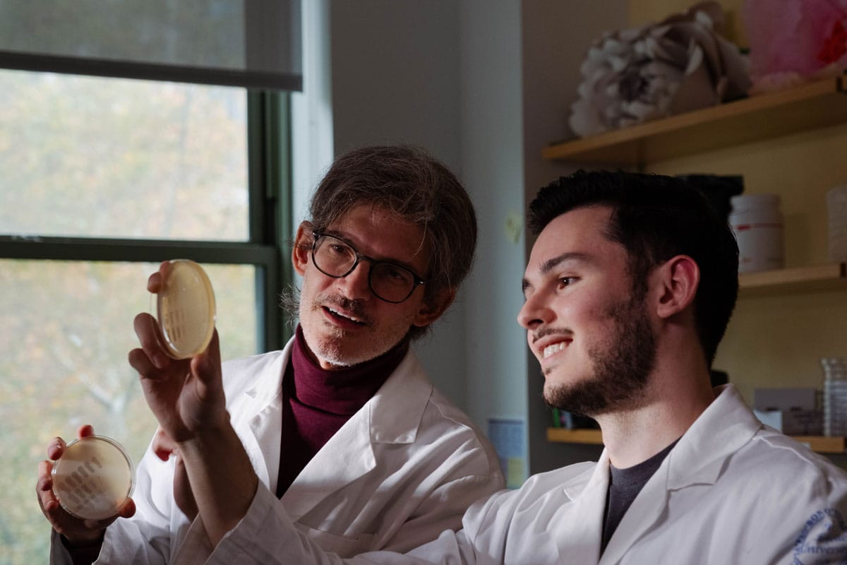 Luciano Marraffini and a colleague examining a sample in a petri dish.