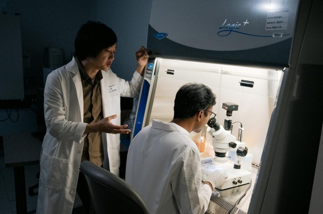 Takanori Takebe in his lab talking with a colleague as they examine a sample under a microscope.
