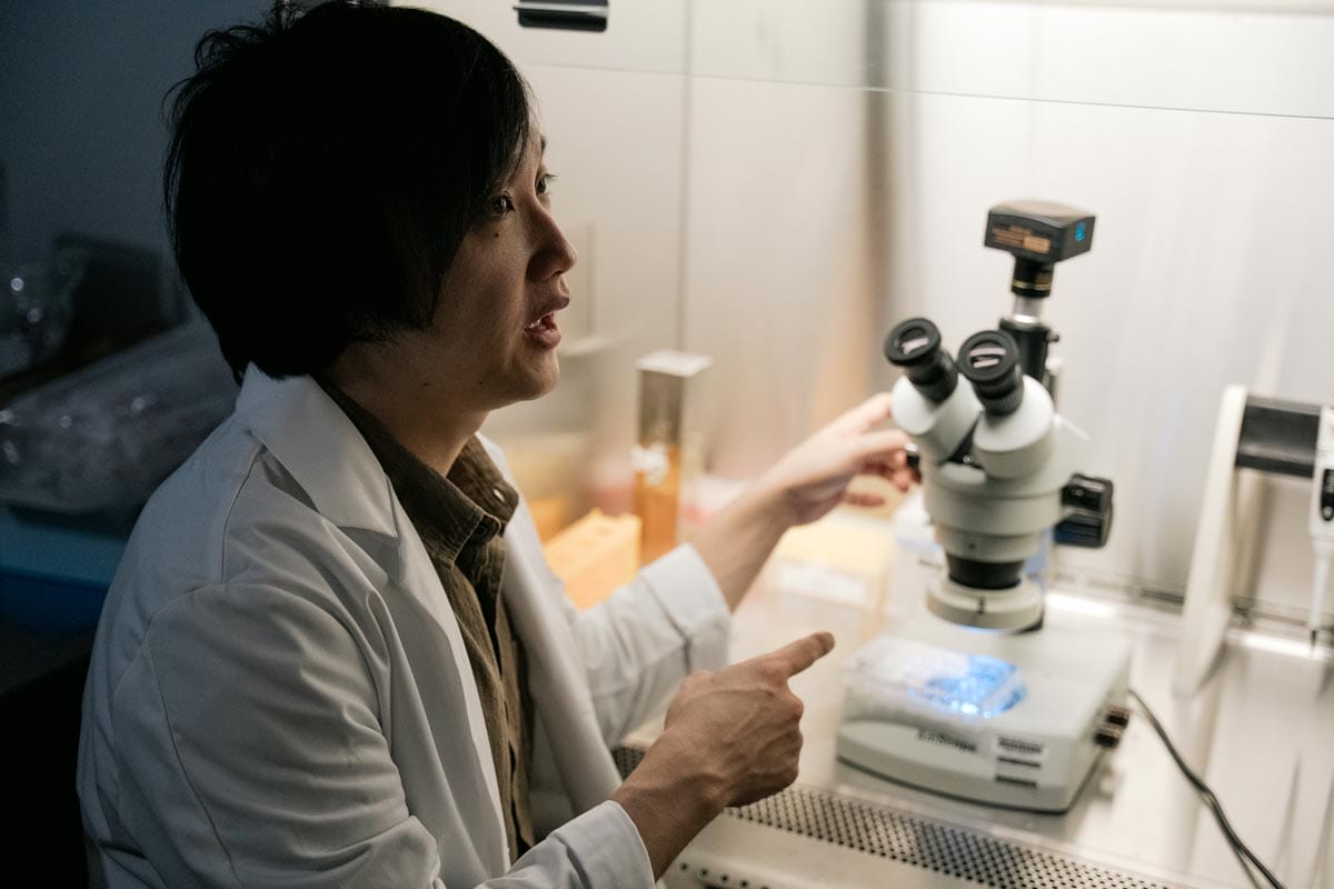 Takanori Takebe talks as he sits in front of a microscope in his lab. 