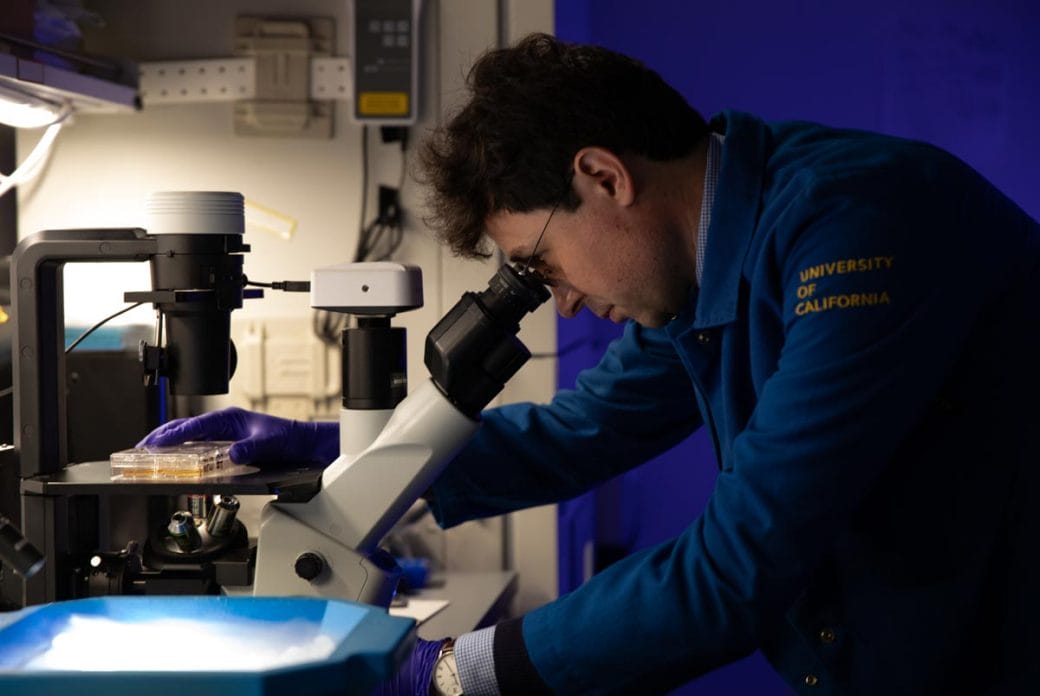 Tomasz Nowakowski examines a specimen under a microscope in his lab.