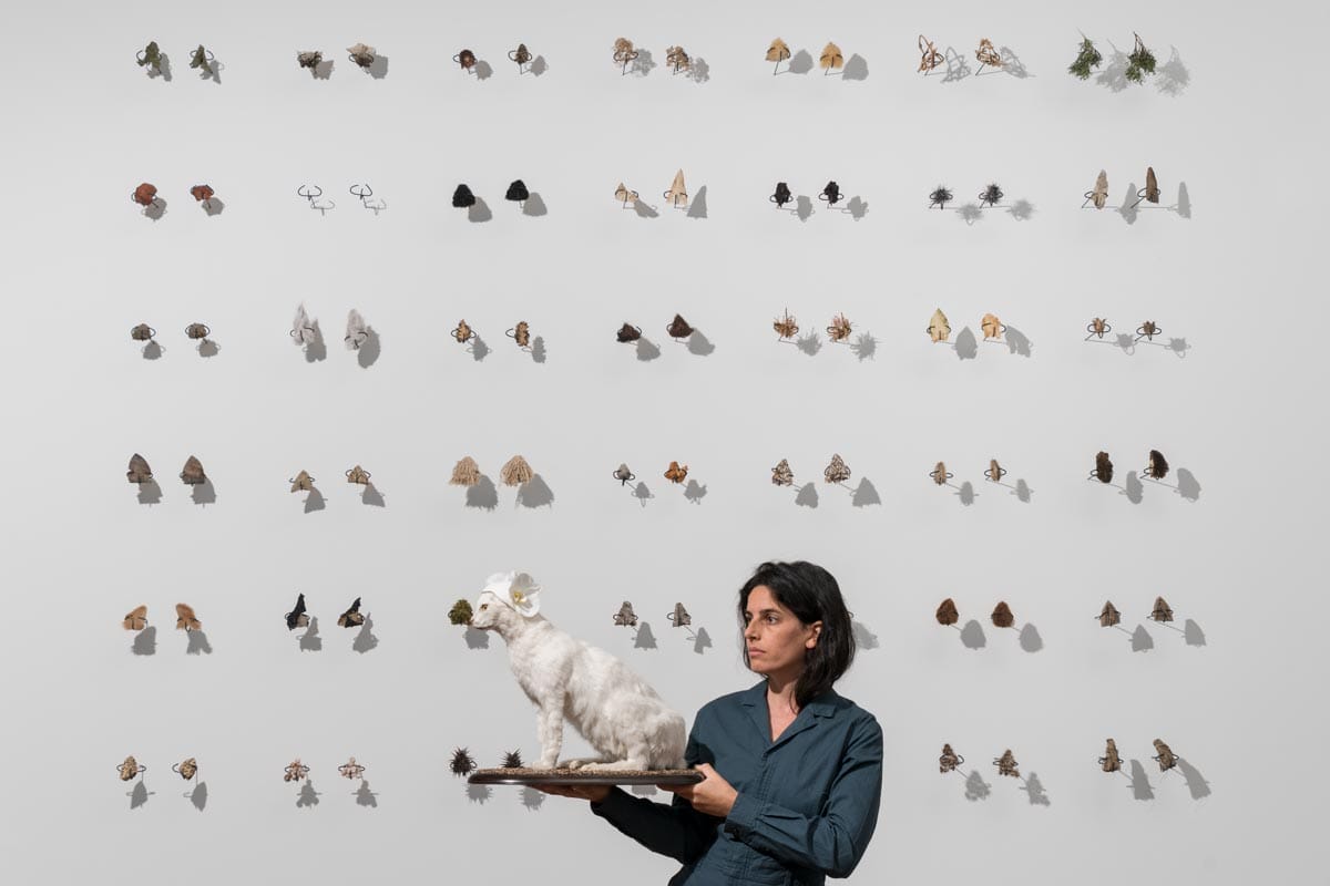 Selva holds a white taxidermy cat in front of multiple small art pieces inserted into a wall.