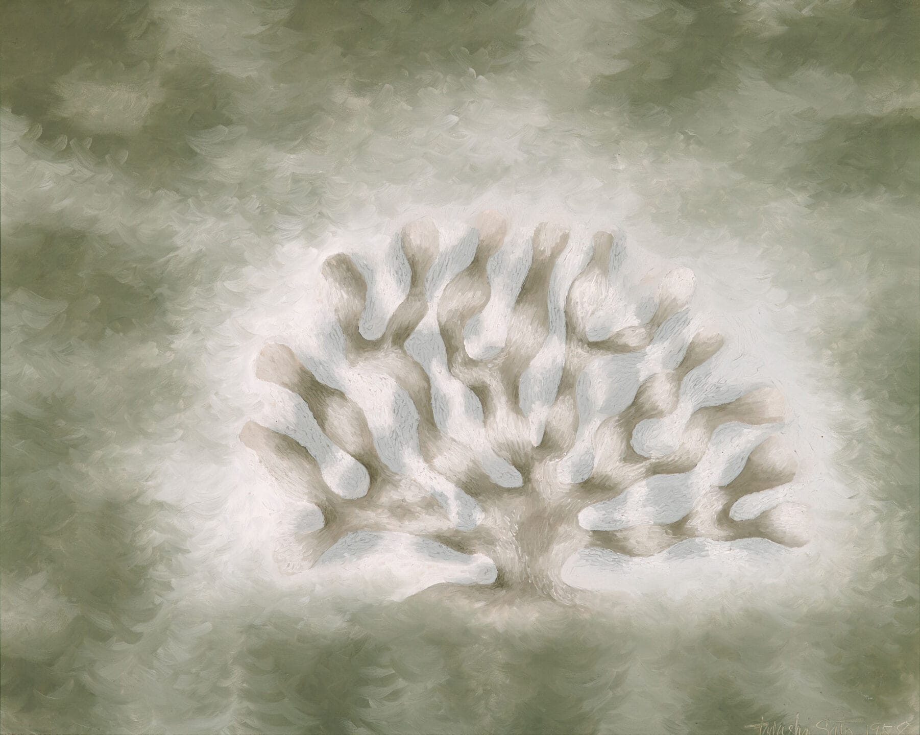 Coral-like forms in shades of olive green, brown and white.